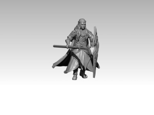 armoured Elf Captain with spear and shield